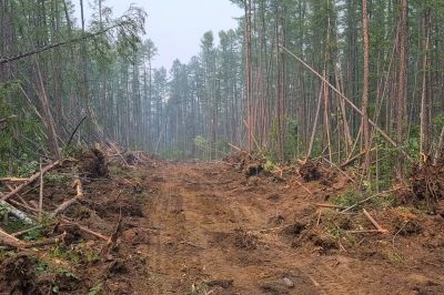 Commercial Land Preparation in Marietta, GA
